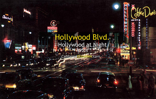 HOLLYWOD BLVD. AT NIGHT - Hollywood, California