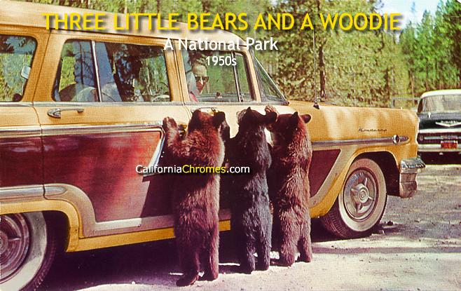 Three Little Bears and a Woodie at a National Park, c.1958