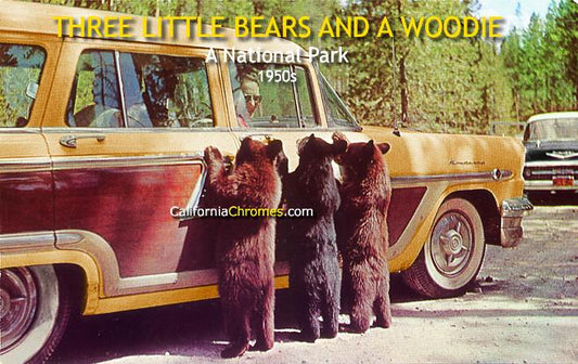 Three Little Bears and a Woodie at a National Park, c.1958