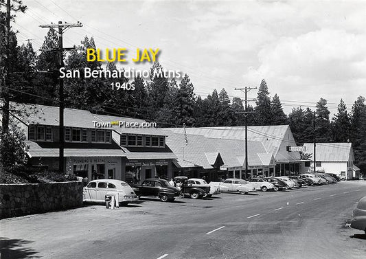 Blue Jay, San Bernardino Mtns, 1940s