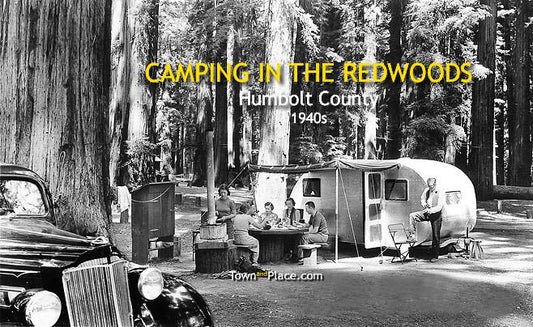 Camping in the Redwoods, Humbolt County, 1940s