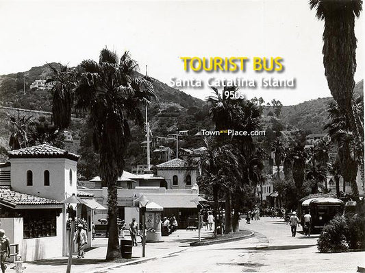 Tourist Bus, Santa Catalina Island, 1950s