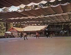 The Ice Skating Rink #2 Blue Jay, c.1960