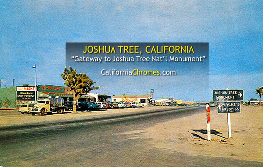 WEST ENTRANCE, Joshua Tree, California 1950s
