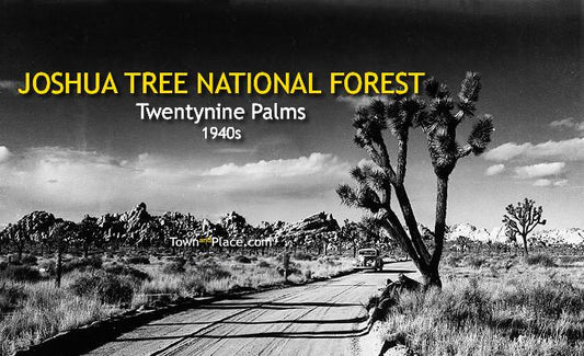 Joshua Tree National Forest, Twentynine Palms, 1940s