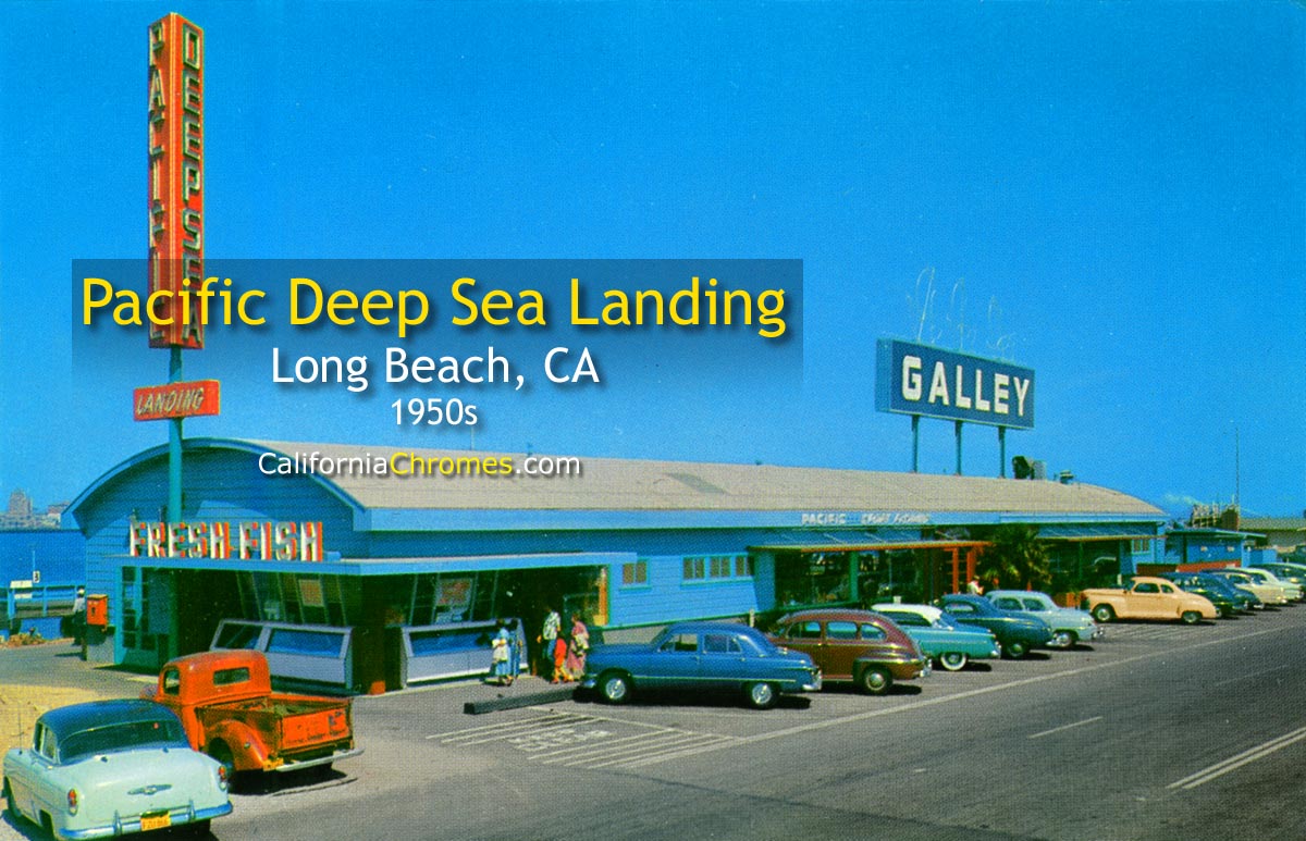 PACIFIC SPORTFISHING LANDING - Long Beach, California