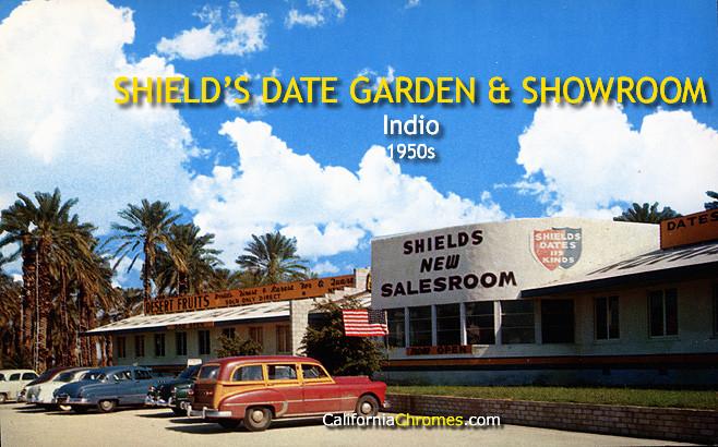 Shields Date Garden and Showroom c.1955