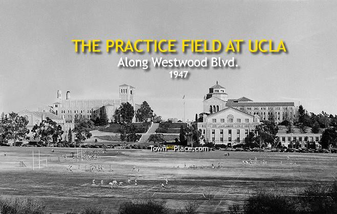 The Practice Field at UCLA, Along Westwood Blvd., 1947