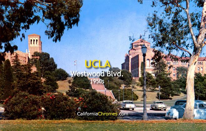 UCLA Westwood, c.1958